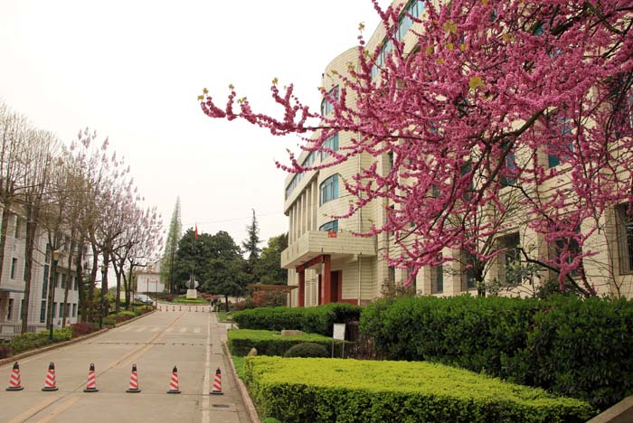 老教学楼