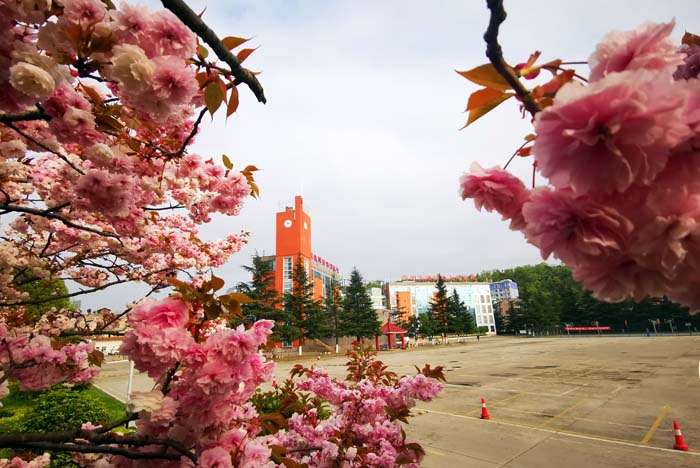 综合教学楼远景