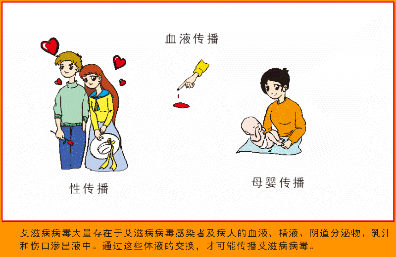 图片4.gif
