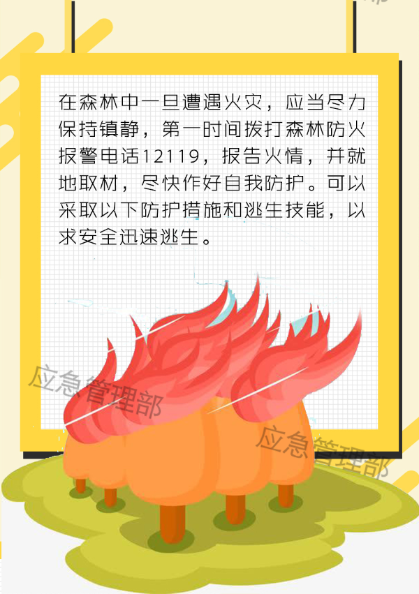 12.png