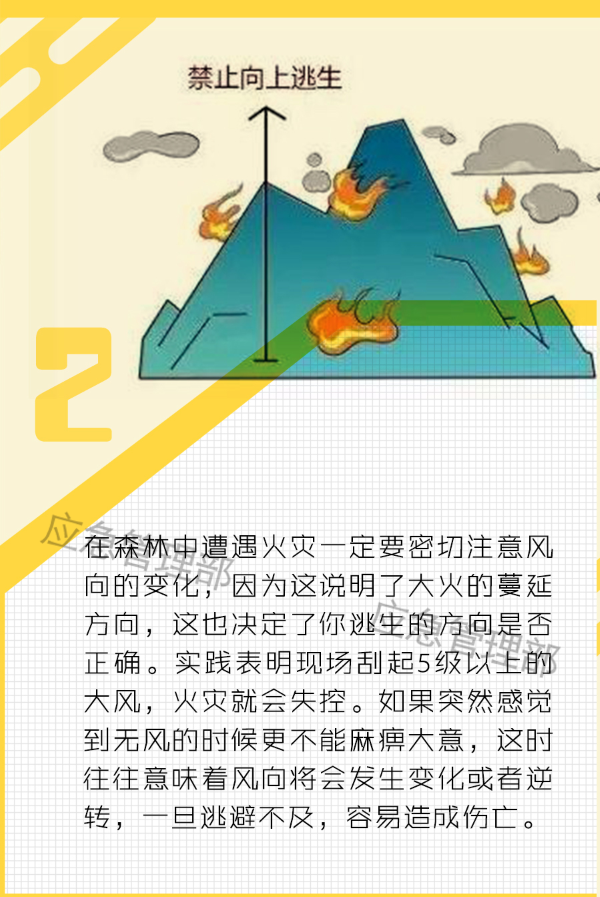 14.png